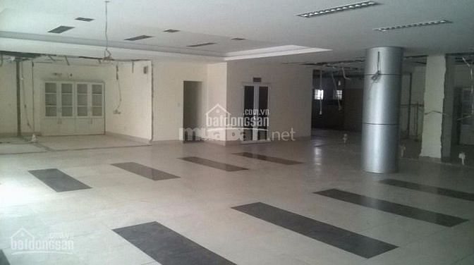 Cho thuê văn phòng tại đường Tây Thạnh, diện tích 400m2 giá 200k/m2 40276555 Cho thuê văn phòng tại đường Tây Thạnh, diện tích 400m2 giá 200k/m2