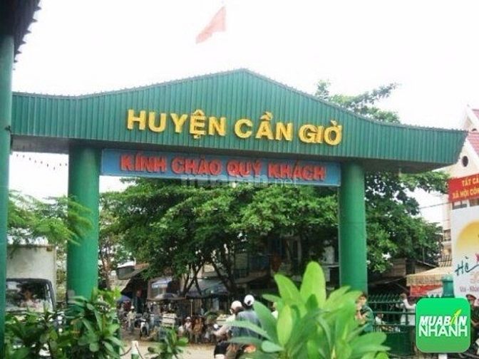 Chính chủ bán đất thổ cư, đất ruộng, xã Bình Khánh, Cần Giờ, giá rẻ 40357136 Chính chủ bán đất thổ cư, đất ruộng, xã Bình Khánh, Cần Giờ, giá rẻ
