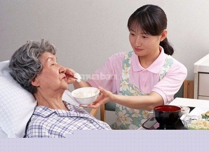 Tìm 1 người trông em bé 1 giúp việc nhà 1 chăm người già quảng bình 40431035 Tìm 1 người trông em bé 1 giúp việc nhà 1 chăm người già quảng bình