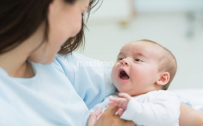Tìm 1 người trông em bé 1 giúp việc nhà 1 chăm người già sơn la 40431052 Tìm 1 người trông em bé 1 giúp việc nhà 1 chăm người già sơn la