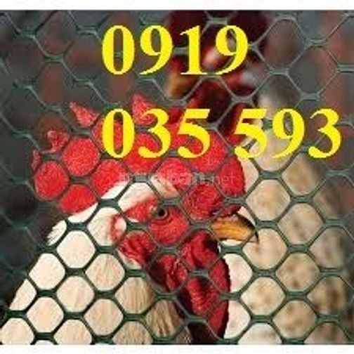 Lưới nhựa cứng trải sàn gà vịt ngan lưới nhựa lót chuồng trại lưới pe
