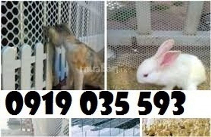 Lưới nhựa cứng trải sàn gà vịt ngan lưới nhựa lót chuồng trại lưới pe
