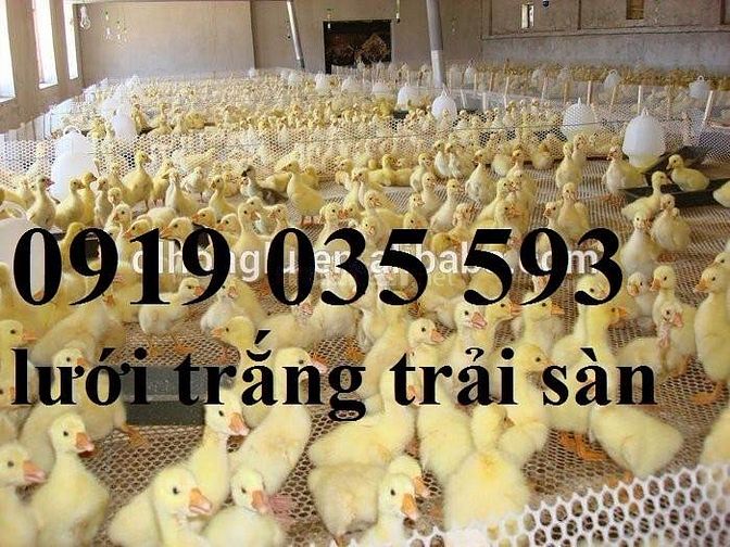 Lưới nhựa cứng trải sàn gà vịt ngan lưới nhựa lót chuồng trại lưới pe