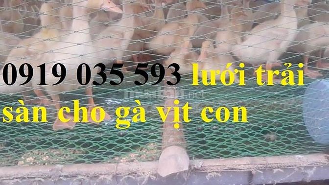 Lưới nhựa cứng trải sàn gà vịt ngan lưới nhựa lót chuồng trại lưới pe