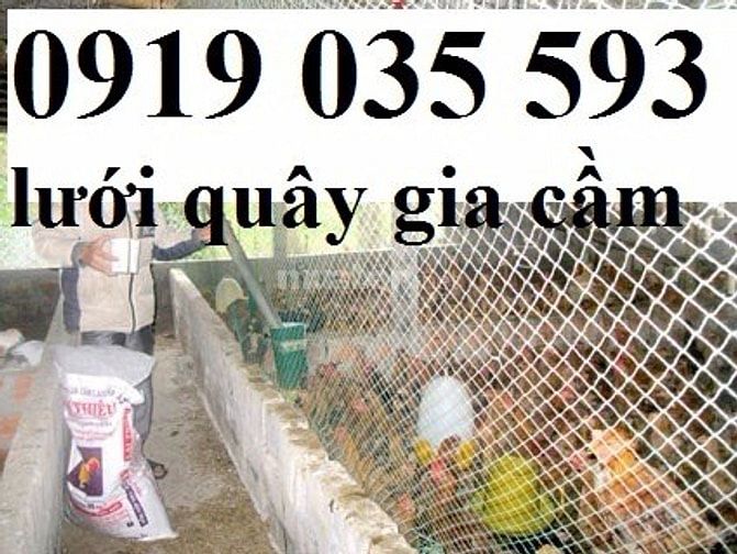Lưới nhựa cứng trải sàn gà vịt ngan lưới nhựa lót chuồng trại lưới pe