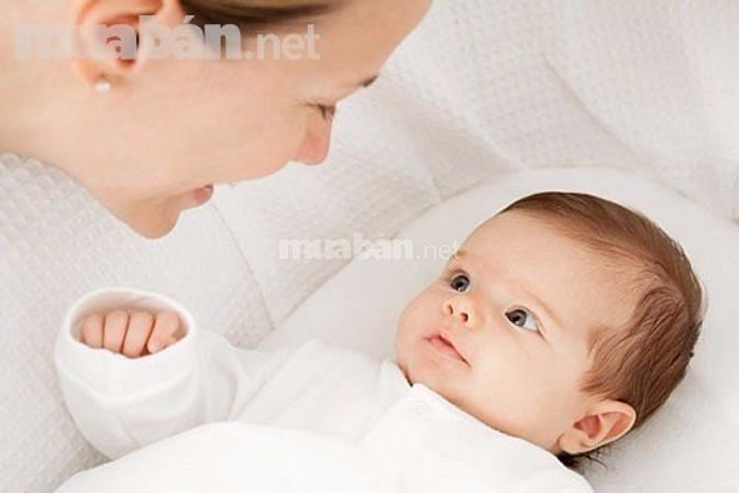 Cần tìm người giúp việc nhà bao ăn ở 40513649 Cần tìm người giúp việc nhà bao ăn ở