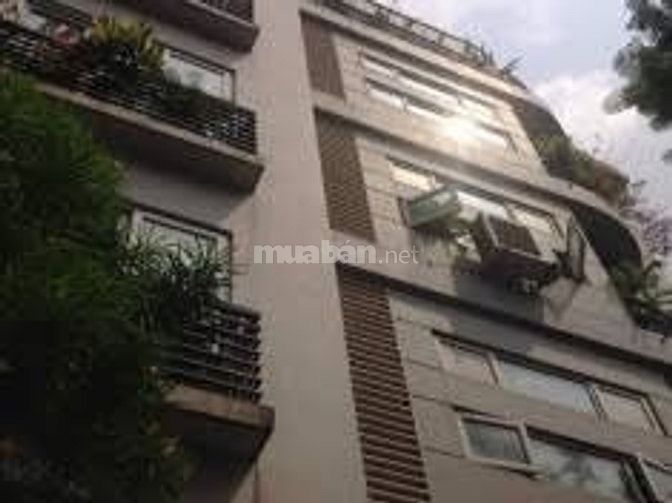 Cho thuê văn phòng vũ phạm hàm 180m2 40553837 Cho thuê văn phòng vũ phạm hàm 180m2