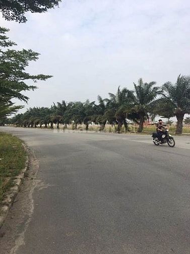 Ngày hội của thị trường BDS, tặng 2 chỉ vàng, CK 3%-5% 40658497 Ngày hội của thị trường BDS, tặng 2 chỉ vàng, CK 3%-5%