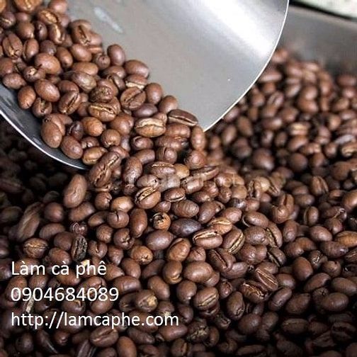 Robusta Medium Roast phân phối quận 1 cho kênh quán 40928836 Robusta Medium Roast phân phối quận 1 cho kênh quán