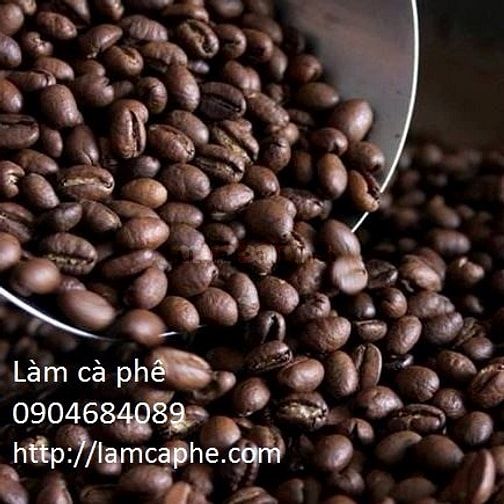 Robusta Medium Roast phân phối quận 1 cho kênh quán 40928836 Robusta Medium Roast phân phối quận 1 cho kênh quán