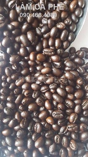 Robusta Medium Roast phân phối quận 1 cho kênh quán 40928836 Robusta Medium Roast phân phối quận 1 cho kênh quán
