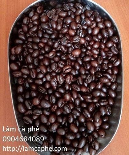 Robusta Medium Roast phân phối quận 1 cho kênh quán 40928836 Robusta Medium Roast phân phối quận 1 cho kênh quán