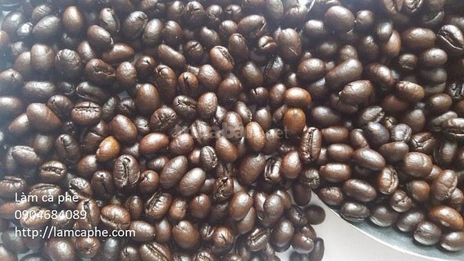 Robusta Medium Roast phân phối quận 1 cho kênh quán 40928836 Robusta Medium Roast phân phối quận 1 cho kênh quán