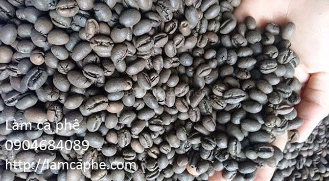 Robusta Medium Roast phân phối quận 1 cho kênh quán 40928836 Robusta Medium Roast phân phối quận 1 cho kênh quán
