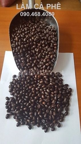 Robusta Medium Roast phân phối quận 1 cho kênh quán 40928836 Robusta Medium Roast phân phối quận 1 cho kênh quán