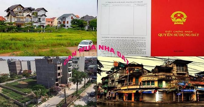 Cần mua nhà đất quận Hoàng Mai đầu tư giá ưu đãi 40928886 Cần mua nhà đất quận Hoàng Mai đầu tư giá ưu đãi