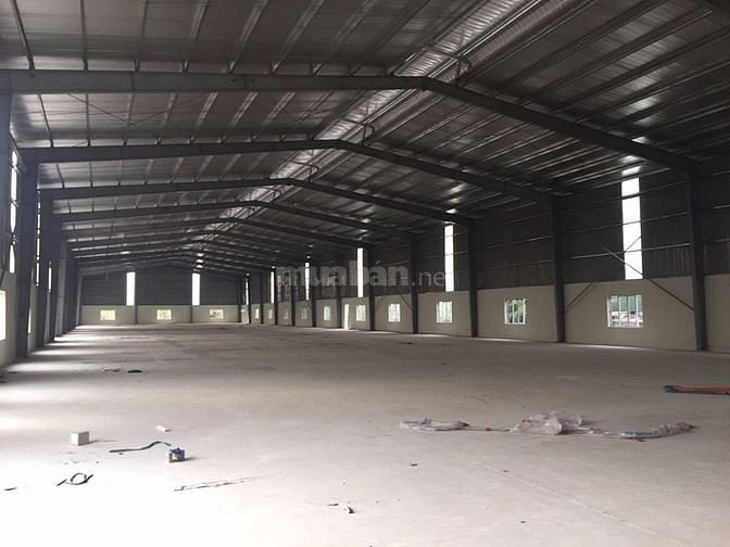 Cho thuê kho xưởng DT 800m2,2000m2 Trưng Trắc Văn Lâm Hưng Yên 41045942 Cho thuê kho xưởng DT 800m2,2000m2 Trưng Trắc Văn Lâm Hưng Yên