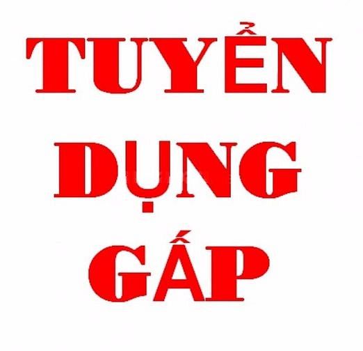 Tuyển tài xế B2, trở lên chạy xe tải giao hàng 41201612 Tuyển tài xế B2, trở lên chạy xe tải giao hàng