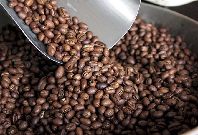 Robusta Medium Roast phân phối quận 1 cho kênh quán 40928836 Robusta Medium Roast phân phối quận 1 cho kênh quán