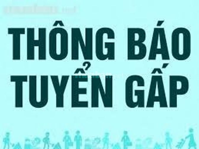 Tuyền người dọn dẹp văn phòng cong ty 41705990 Tuyền người dọn dẹp văn phòng cong ty