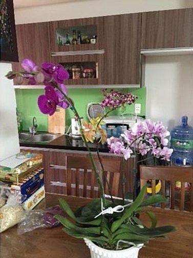 Chính chủ cho thuê căn hộ Lotus Garden 86m2, 2PN 2WC, đầy đủ nội thất