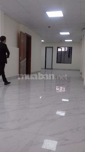Chính chủ cho thuê mb kinh doanh và văn phòng tòa nhà vương thừa vũ 41882706 Chính chủ cho thuê mb kinh doanh và văn phòng tòa nhà vương thừa vũ