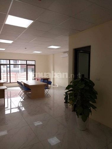 Chính chủ cho thuê mb kinh doanh và văn phòng tòa nhà vương thừa vũ 41882706 Chính chủ cho thuê mb kinh doanh và văn phòng tòa nhà vương thừa vũ