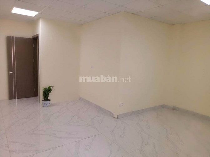 Chính chủ cho thuê mb kinh doanh và văn phòng tòa nhà vương thừa vũ 41882706 Chính chủ cho thuê mb kinh doanh và văn phòng tòa nhà vương thừa vũ