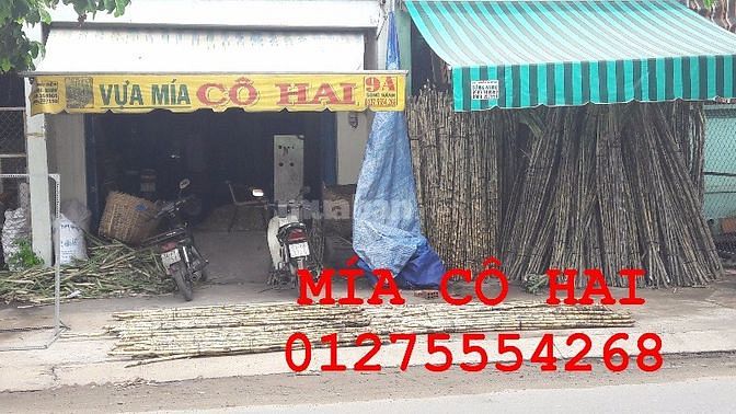 Mía bán theo lít ở Sài Gòn 13.000-15.000Đ/lít 42051754 Mía bán theo lít ở Sài Gòn 13.000-15.000Đ/lít