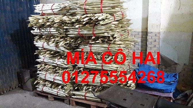 Mía bán theo lít ở Sài Gòn 13.000-15.000Đ/lít 42051754 Mía bán theo lít ở Sài Gòn 13.000-15.000Đ/lít