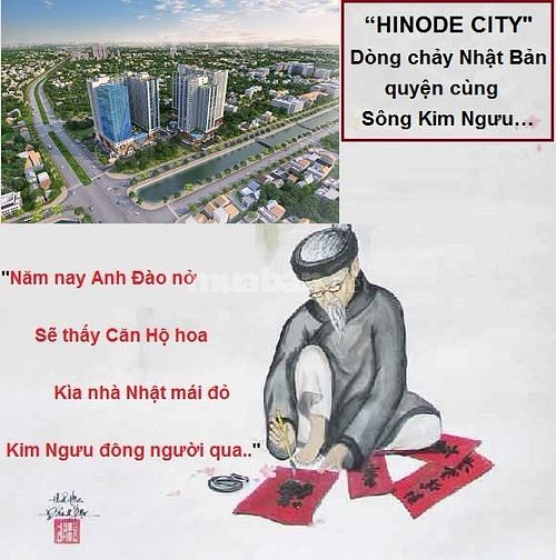 Căn hộ hoa anh đào Minh Khai Hà Nội 42607334 Căn hộ hoa anh đào Minh Khai Hà Nội