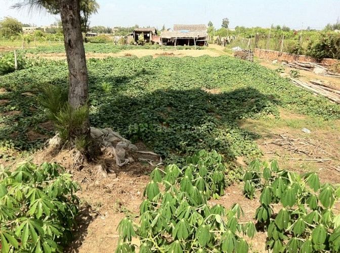 Bán nhà đất mặt tiền Đào Cử, TT.Cần Thạnh, Cần Giờ 42610750 Bán nhà đất mặt tiền Đào Cử, TT.Cần Thạnh, Cần Giờ