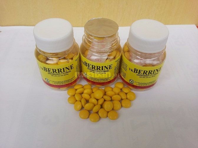 Berberin chiết xuất 100% từ cây Vàng Đắng 42743842 Berberin chiết xuất 100% từ cây Vàng Đắng