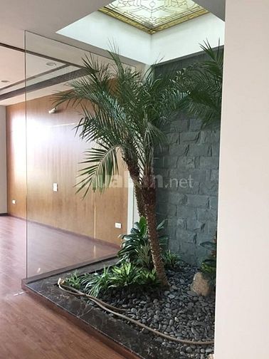 Nhà phân lô mặt ngõ Hoàng Quốc Việt, 50m2, 4 tầng, MT 4,5m, 7 tỷ, ô tô 42952927 Nhà phân lô mặt ngõ Hoàng Quốc Việt, 50m2, 4 tầng, MT 4,5m, 7 tỷ, ô tô