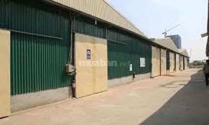 Cho thuê kho xưởng mới 650m2 An Đồng, An Dương, Hải Phòng 43252145 Cho thuê kho xưởng mới 650m2 An Đồng, An Dương, Hải Phòng