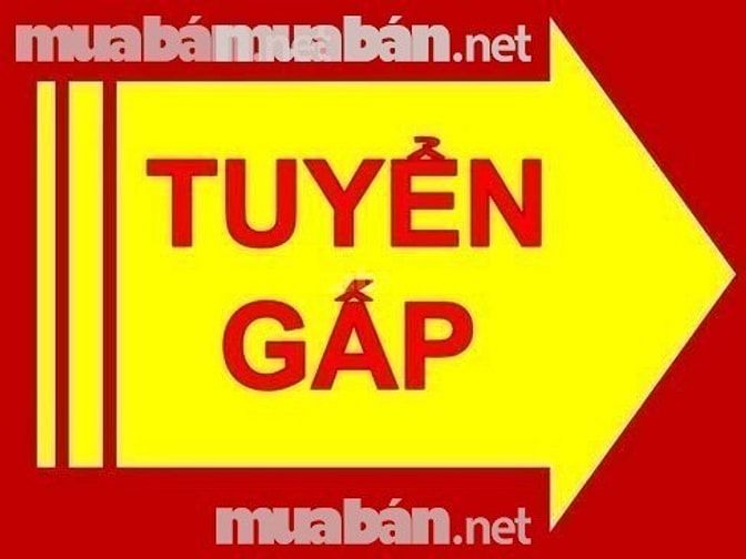 Cần 1 Nữ cạo mặt ráy tai, trên 10tr làm Quận Bình Thạnh 43236413 Cần 1 Nữ cạo mặt ráy tai, trên 10tr làm Quận Bình Thạnh