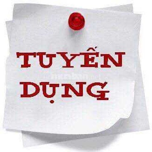 Tuyển Nhân Viên CEO Bất Động Sản Mua Bán & Cho Thuê 43362161 Tuyển Nhân Viên CEO Bất Động Sản Mua Bán & Cho Thuê