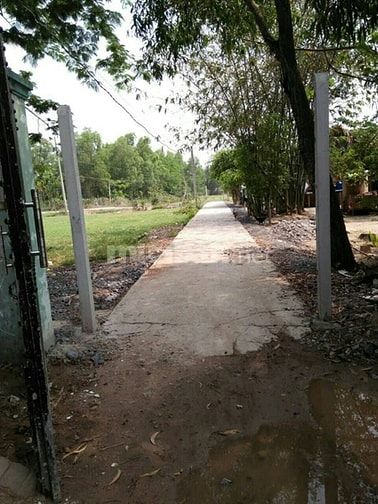 Bán gấp nhà Mỹ Hạnh Bắc, Đức Hòa, Long An, Tây Bắc TPHCM 43783945 Bán gấp nhà Mỹ Hạnh Bắc, Đức Hòa, Long An, Tây Bắc TPHCM