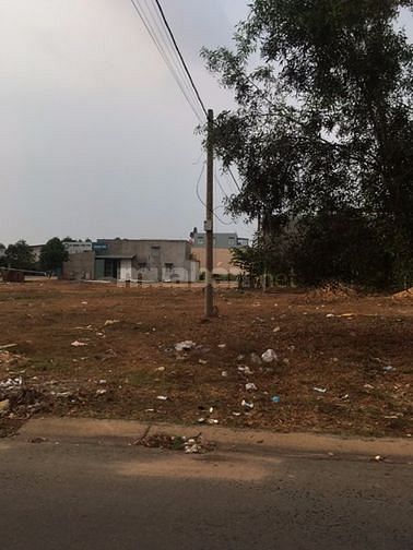 Cần bán gấp lô đất 100m2 gần chợ và trường học 43930528 Cần bán gấp lô đất 100m2 gần chợ và trường học