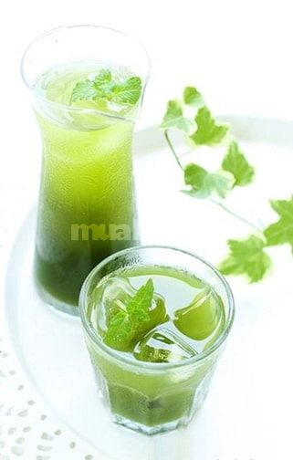 Rong nho tươi giá sỉ tại Đà Lạt 44015393 Rong nho tươi giá sỉ tại Đà Lạt