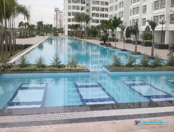 Phòng Master CC Phú Hoàng Anh đẹp, cho thuê ngắn hạn – dài hạn. 44262784 Phòng Master CC Phú Hoàng Anh đẹp, cho thuê ngắn hạn – dài hạn.