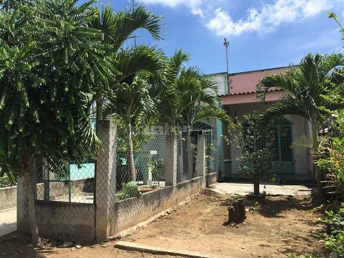 Bán nhà MT đường Dương Văn Hạnh, Xã Lý Nhơn, Cần Giờ . 44463350 Bán nhà MT đường Dương Văn Hạnh, Xã Lý Nhơn, Cần Giờ .