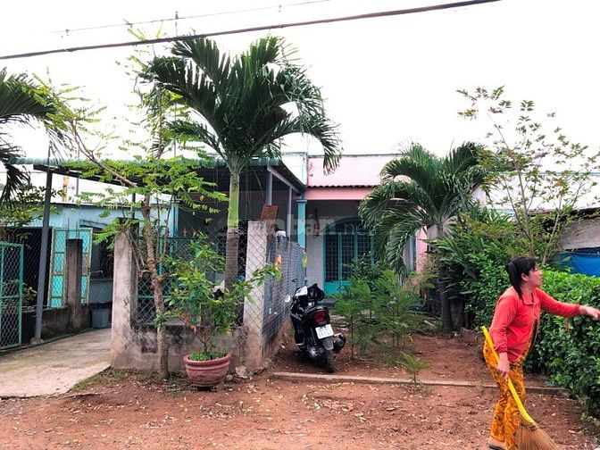Bán nhà MT đường Dương Văn Hạnh, Xã Lý Nhơn, Cần Giờ . 44463350 Bán nhà MT đường Dương Văn Hạnh, Xã Lý Nhơn, Cần Giờ .
