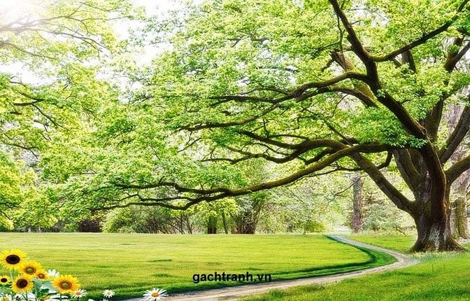 Tranh 3d , gạch tranh 3d , tranh gạch men 3d 44446236 Tranh 3d , gạch tranh 3d , tranh gạch men 3d