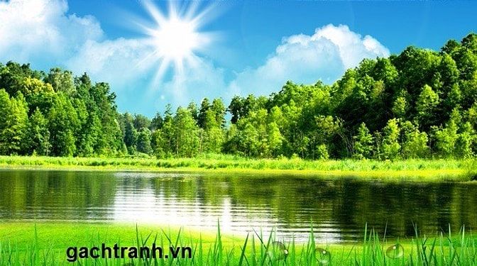 Tranh 3d , gạch tranh 3d , tranh gạch men 3d 44446236 Tranh 3d , gạch tranh 3d , tranh gạch men 3d