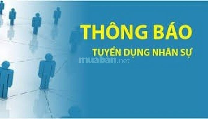 Quản lý,giám sát bán hàng khu vực đà nẵng 44812397 Quản lý,giám sát bán hàng khu vực đà nẵng