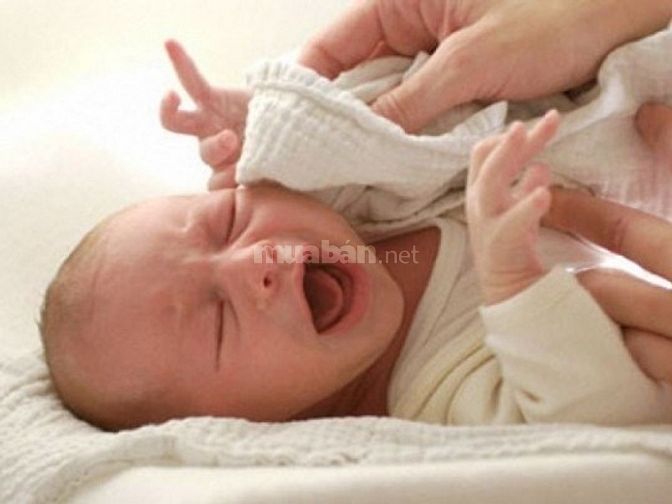 Cần gấp 1 người giữ trẻ 1 người giúp việc nhà 1 người chăm người già 44854728 Cần gấp 1 người giữ trẻ 1 người giúp việc nhà 1 người chăm người già