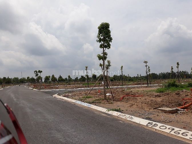 Đất Biên Hoà trong khu dân cư qui hoạch, giá cho người tài chính thấp 44923029 Đất Biên Hoà trong khu dân cư qui hoạch, giá cho người tài chính thấp