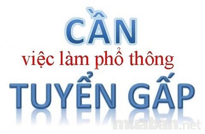 Nhân viên hướng dẫn khánh hàng chi nhánh đà nẵng 44927176 Nhân viên hướng dẫn khánh hàng chi nhánh đà nẵng