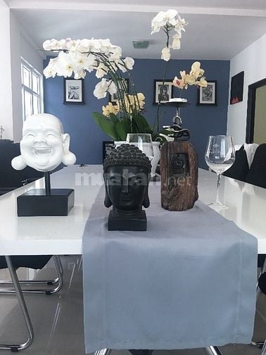 Cho thuê lô đất MT Phan Đăng Lưu 45077133 Cho thuê lô đất MT Phan Đăng Lưu
